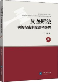 反垄断法实施指南制度建构研究