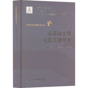 高混凝土坝抗震关键技术 孙保平 等 著新华文轩网络书店 正版图书