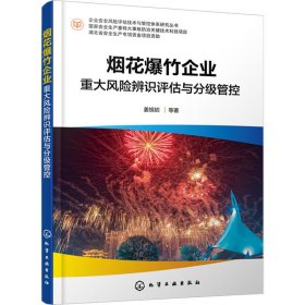 烟花爆竹企业重大风险辨识评估与分级管控 姜旭初 等 著 新华文轩网络书店 正版图书