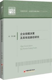 企业规模决策及其有效路径研究