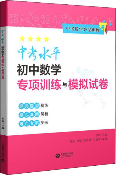 中考水平初中数学专项训练与模拟试卷