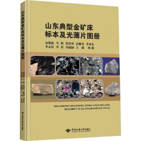 山东典型金矿床标本及光薄片图册 高明波 等 著 新华文轩网络书店 正版图书