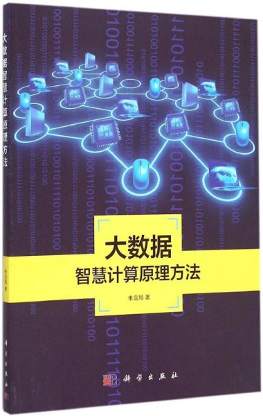 地理信息系统理论与应用丛书：大数据智慧计算原理方法