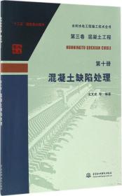 水利水电工程施工技术全书（第三卷）·（混凝土工程 第十册）：混凝土缺陷处理