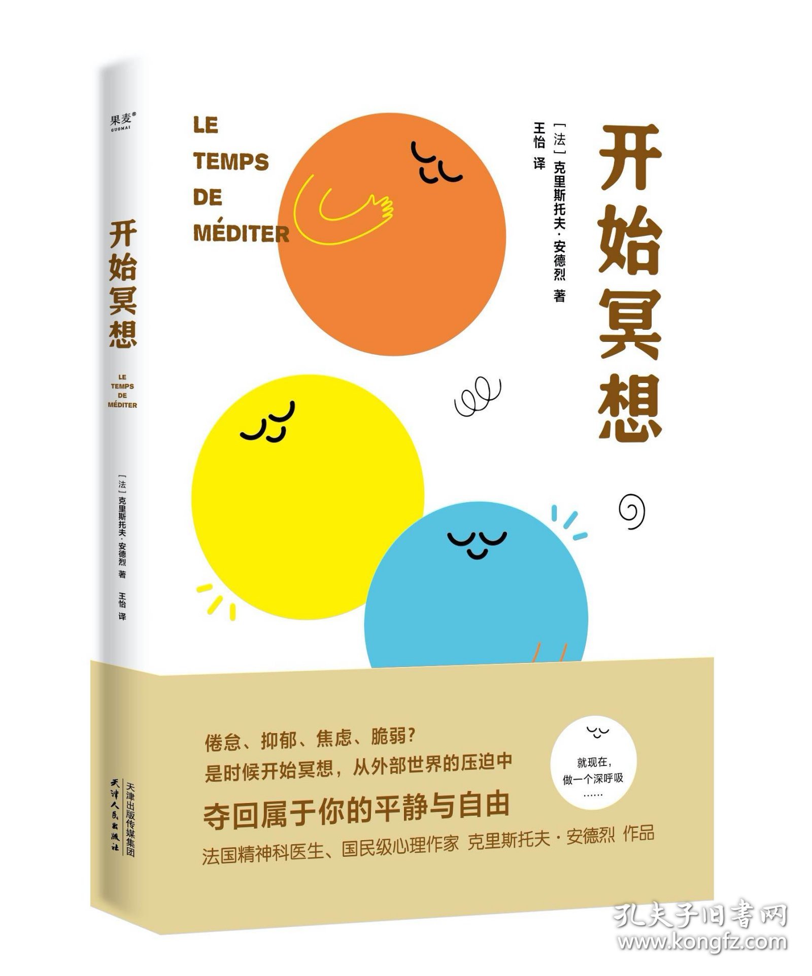 开始冥想（一本轻巧的心理自助指南，用冥想帮你走出倦怠、抑郁等心理困境。法国知名心理医生、畅销书作家克里斯托夫·安德烈作品）