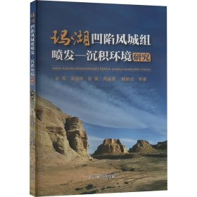 玛湖凹陷风城组喷发-沉积环境研究 靳军 等 著 新华文轩网络书店 正版图书