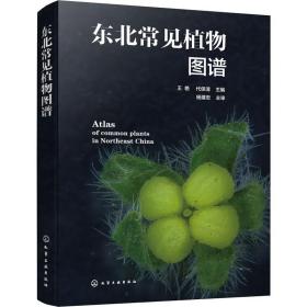 东北常见植物图谱