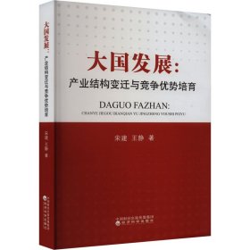 大国发展:产业结构变迁与竞争优势培育 宋建,王静 著 新华文轩网络书店 正版图书