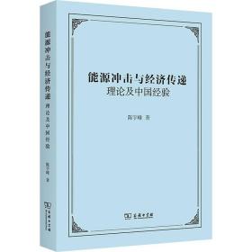 能源冲击与经济传递：理论及中国经验