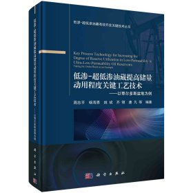 低渗-超低渗油藏提高储量动用程度关键工艺技术——以鄂尔多斯盆地为例 周志平 著 新华文轩网络书店 正版图书