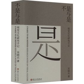 不是与是 视觉文化研究手记 吴晓兵 著 新华文轩网络书店 正版图书