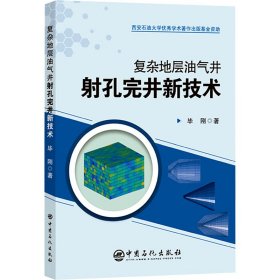 复杂地层油气井射孔完井新技术 毕刚 著新华文轩网络书店 正版图书