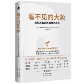 《看不见的大象：学会用长远思维预测未来》（警惕黑天鹅，防备灰犀牛，驯服看不见的大象  构建长远思维，读懂耐心资本）