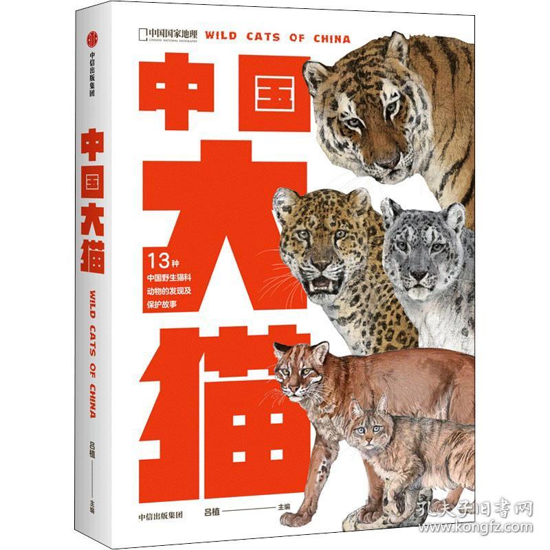 中国大猫:《中国鸟类观察手册》大猫版，内有跨页生境手绘大图