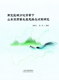 南北区域分化背景下山东高质量发展思路及对策研究 杨维富、胡伟 著 新华文轩网络书店 正版图书