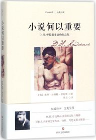 小说何以重要:D.H.劳伦斯非虚构作品集