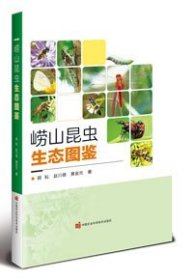 崂山昆虫生态图鉴 顾耘、赵川德、黄金光 著 新华文轩网络书店 正版图书