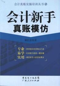 会计真账实操培训丛书（3）：会计新手真账模仿