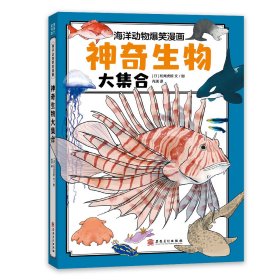 神奇生物大集合（海洋里的庞然大物都有谁？鲸类也有“左撇子”和“右撇子”？海洋科普系列）