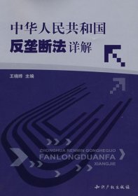 中华人民共和国反垄断法详解