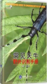 好奇心书系·野外识别手册：常见天牛野外识别手册