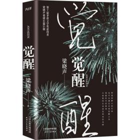 觉醒（梁晓声2020重磅长篇）精装版