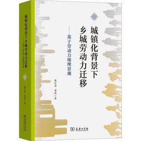 城镇化背景下乡城劳动力迁移——基于劳动力地理景观