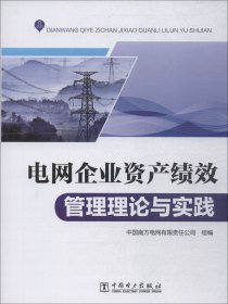 电网企业资产绩效管理理论与实践