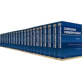大数据百科术语辞典汉外对照系列丛书（套装共20册）