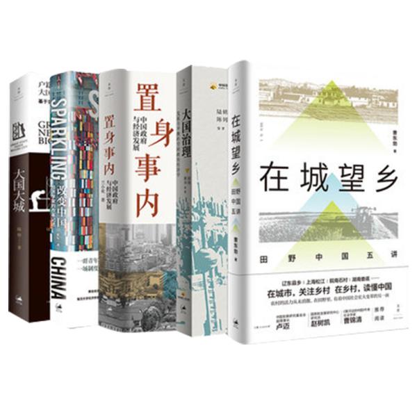 置身事内 中国政府与经济发展 五本套 兰小欢 著等 新华文轩网络书店 正版图书