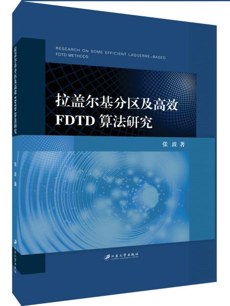 拉盖尔基分区及高效FDTD算法研究