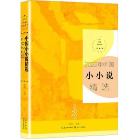 2022年中国小小说精选（2022中国年选系列）