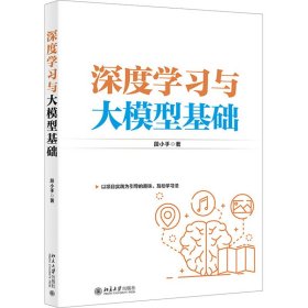 深度学习与大模型基础 段小手 著 新华文轩网络书店 正版图书