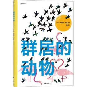 群居的动物 一本与众不同、艺术感十足的动物科普绘本 向动物学习集体智慧，感受地球的生命力