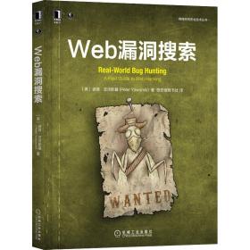 Web漏洞搜索