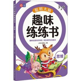 聪明大脑趣味练练书 思维 3-6岁 幼小衔接思维训练 全脑开发 益智游戏 玩转童年 从根本上提高孩子多种能力的思