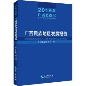 广西民族地区发展报告（2019年广西蓝皮书）——广西民族地区发展报告