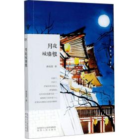 长安文心书系：月夜城墙根