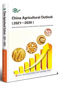 China Agricultural Outlook （2021-2030） 中国农业展望报告（2021-2030）英文版