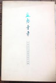 盛气青年 中国当代水墨邀请展作品集，（徐华翎 黄丹 杭春晖 郑庆余⋯）