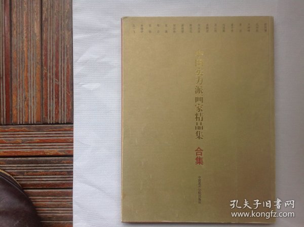 中国实力派画家精品集（中国美院教师合集〉