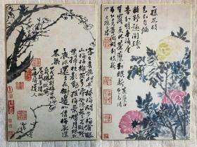 清 石涛 花卉册（双重函套，一函十二幅全）