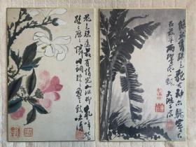 清 石涛 花卉册（双重函套，一函十二幅全）