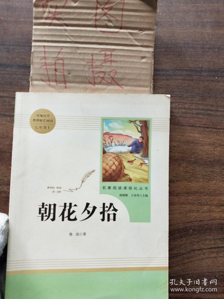 中小学新版教材（部编版）配套课外阅读 名著阅读课程化丛书 朝花夕拾 