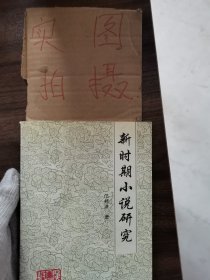 新时期小说研究