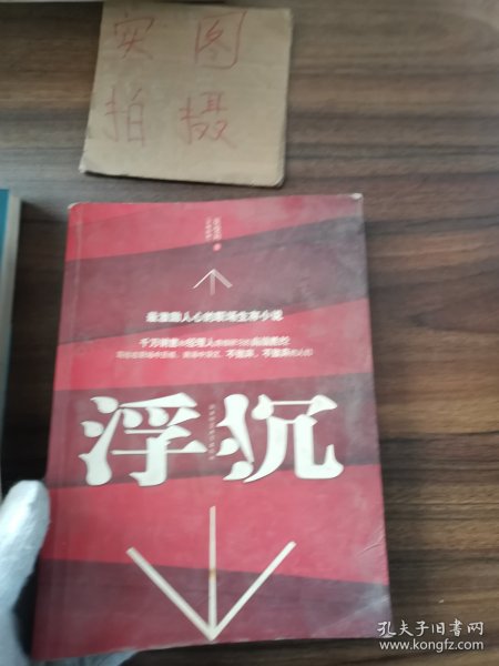 浮沉：最激励人心的职场生存小说