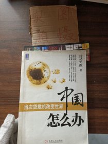 中国怎么办：当次货危机改变世界