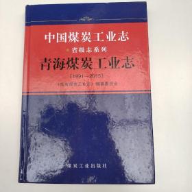 中国煤炭工业志 青海煤炭工业志（1991-2015）