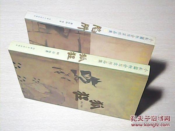 小长篇社会写实作品集：狐狸