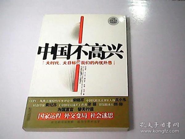 中国不高兴：大时代大目标及我们的内忧外患